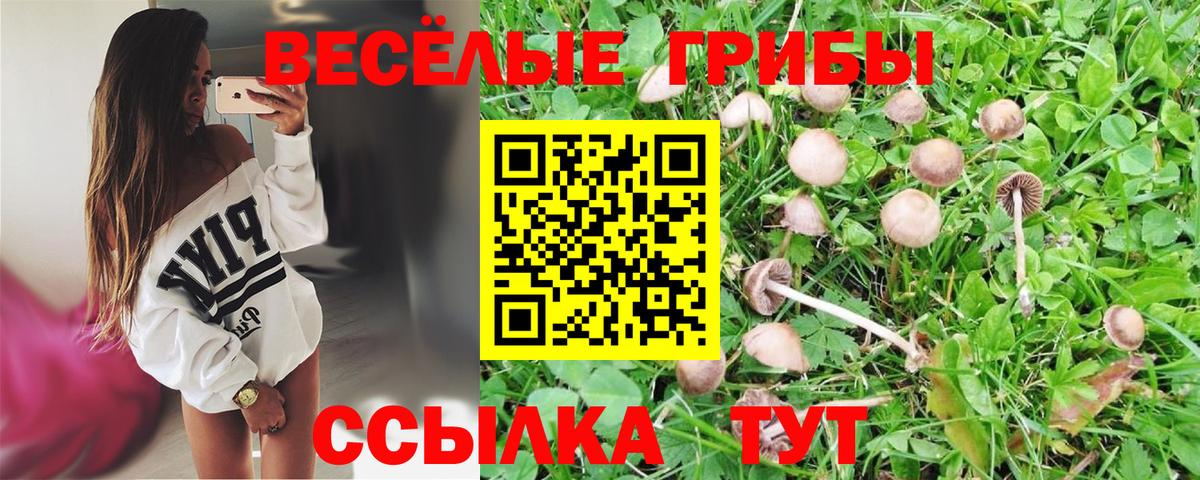 Галлюциногенные грибы GOLDEN TEACHER Богородск