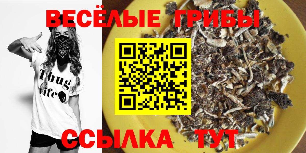 где продают наркотики  Галлюциногенные грибы Psilocybe  Вход с VPN  Богородск 